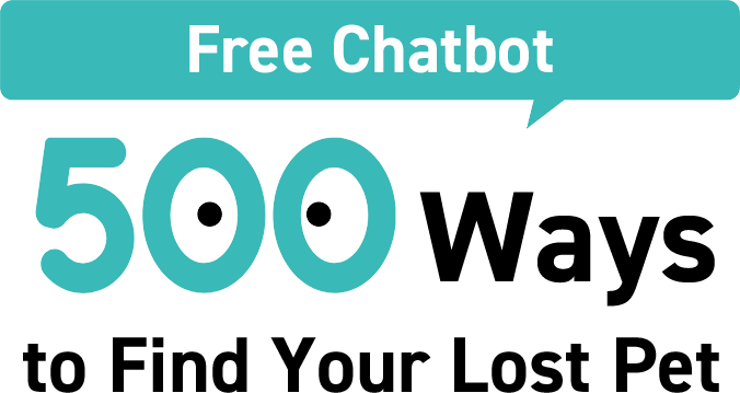 How to Find Your Lost Pet - Free Chatbot