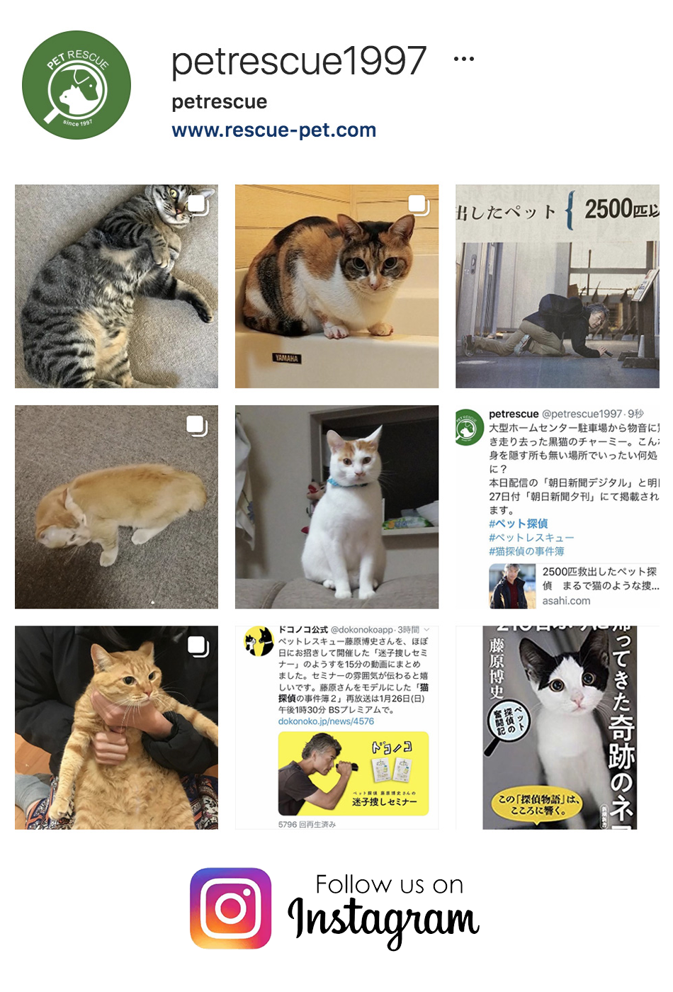 ペットレスキュー　PETRESCUE Instagram